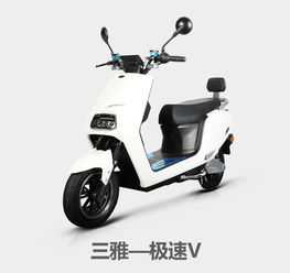 三雅电动车SY1000DT-2极速V 性能与科技的完美融合